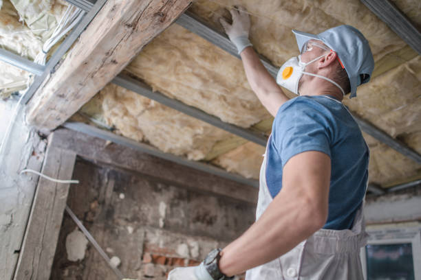 Best Insulation Contractors for Homes  in University Park, NM